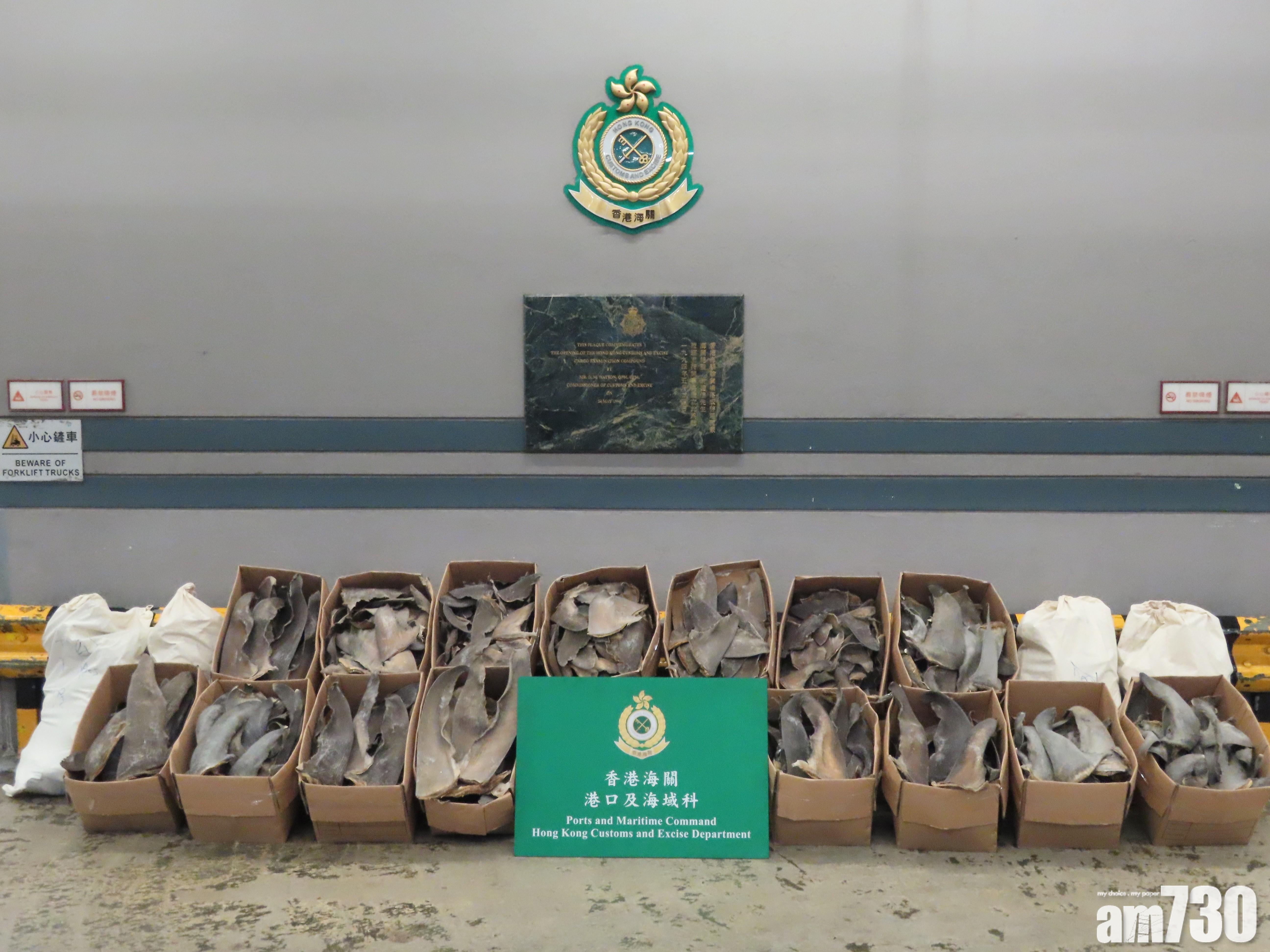 海關摩洛哥抵港貨櫃檢約392公斤疑受管制乾魚翅