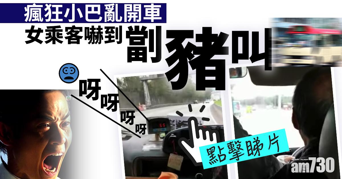 【網上熱話】瘋狂小巴亂開車  女客嚇到劏豬叫【有片慎入】