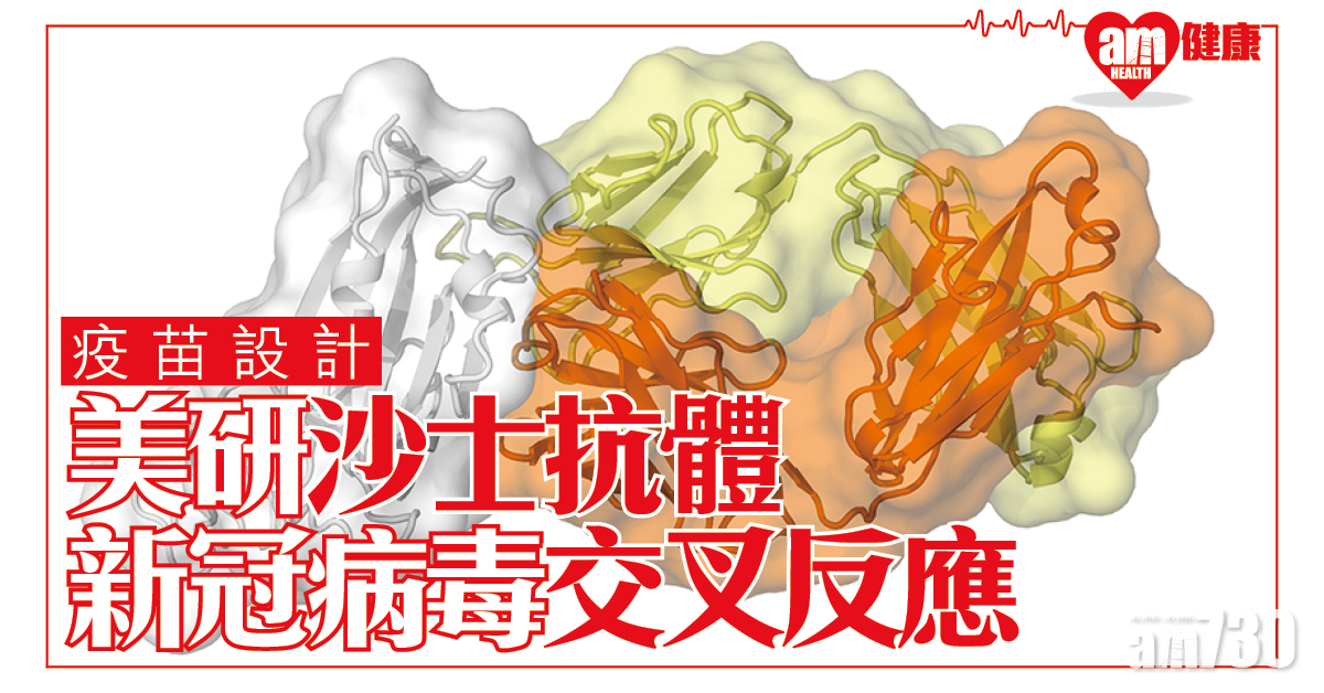 【新冠肺炎】發現有沙士抗體對病毒產生交叉反應 美研：或能中和病毒