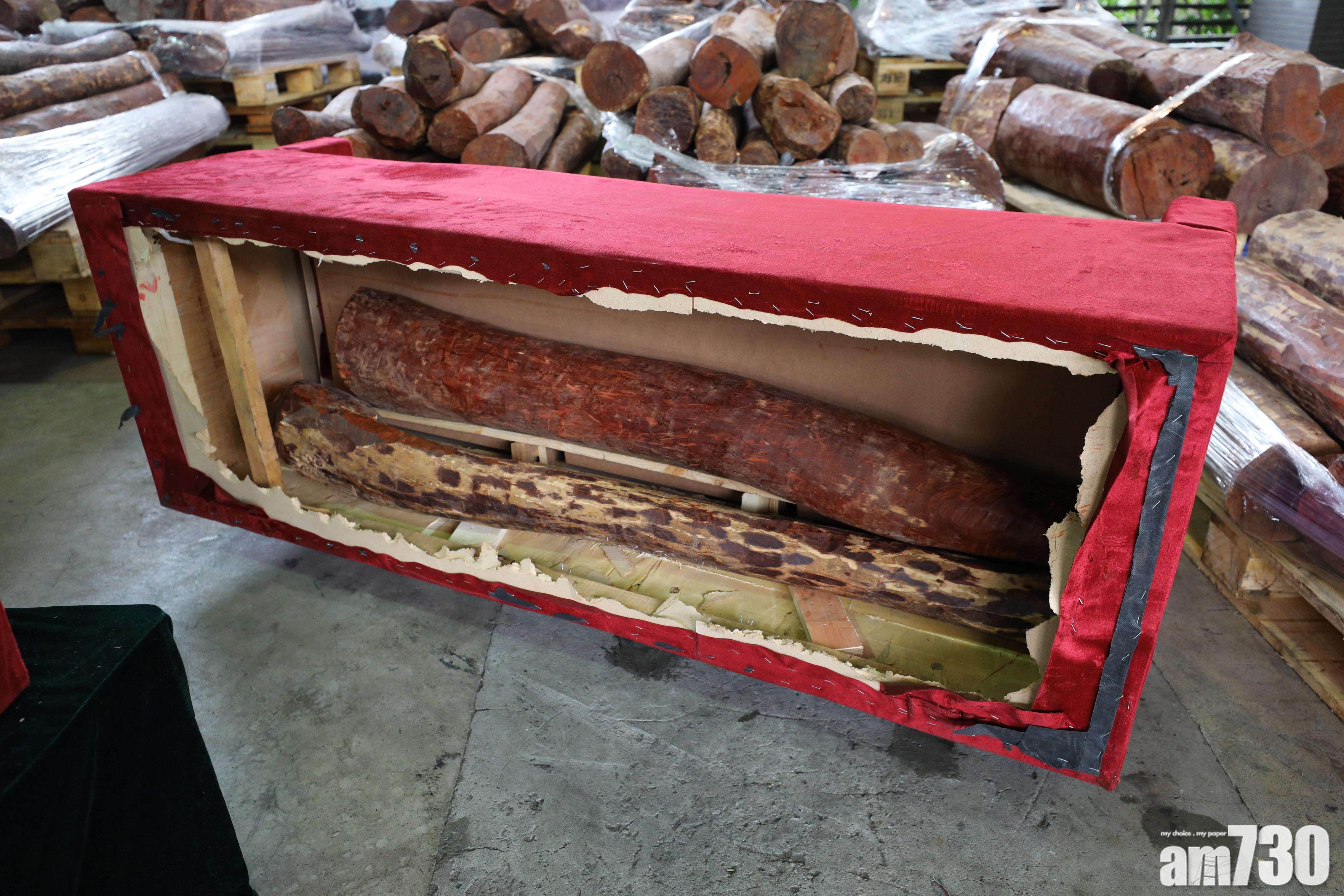 首破以家具收藏木材走私案　海關檢7400公斤懷疑紫檀木