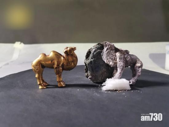 秦始皇陵園出土金銀駱駝 或證秦朝已有絲路