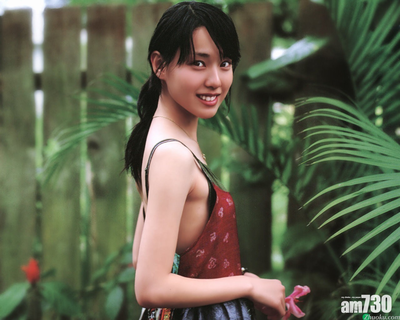 田中圭 戶田奪視帝后