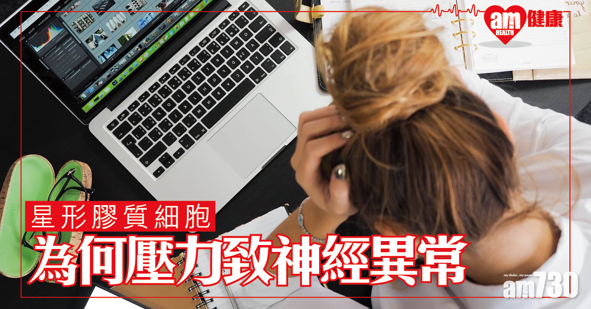 壓力可致神經細胞改變