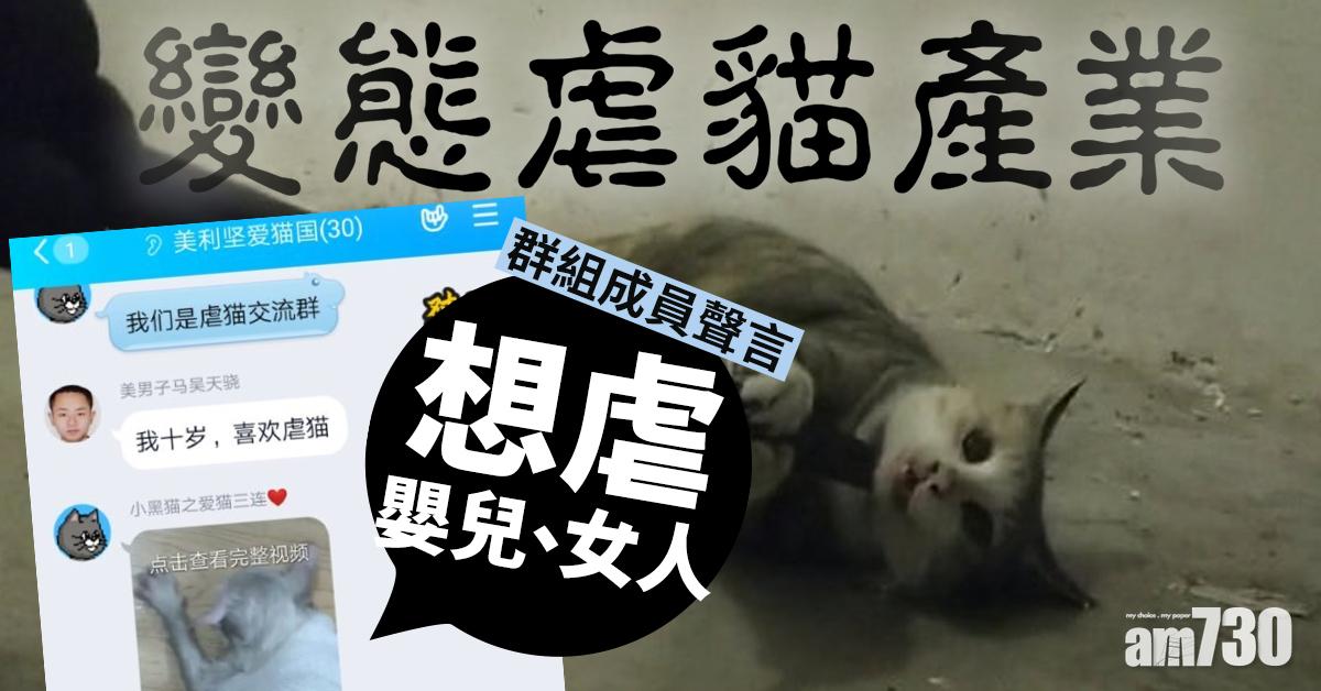 【變態虐貓產業】群組成員聲言想虐嬰兒、女人