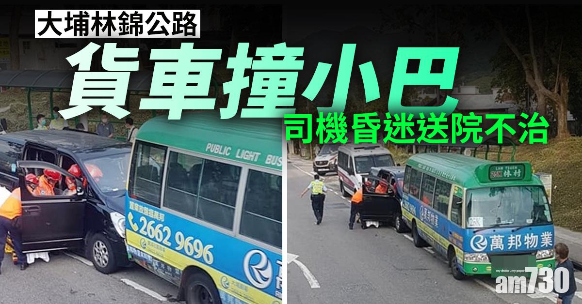 大埔林錦公路客貨車撞小巴 司機昏迷送院不治