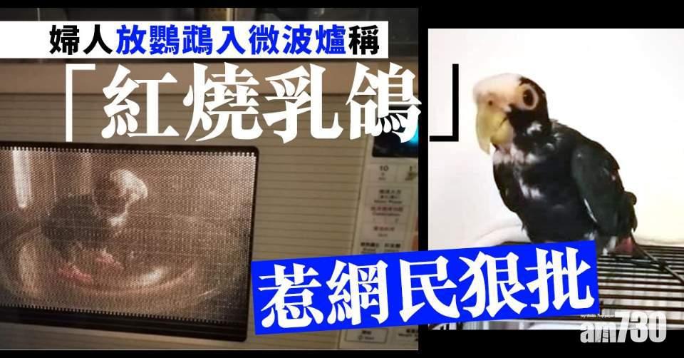 婦人放鸚鵡入微波爐稱「紅燒乳鴿」惹網民狠批