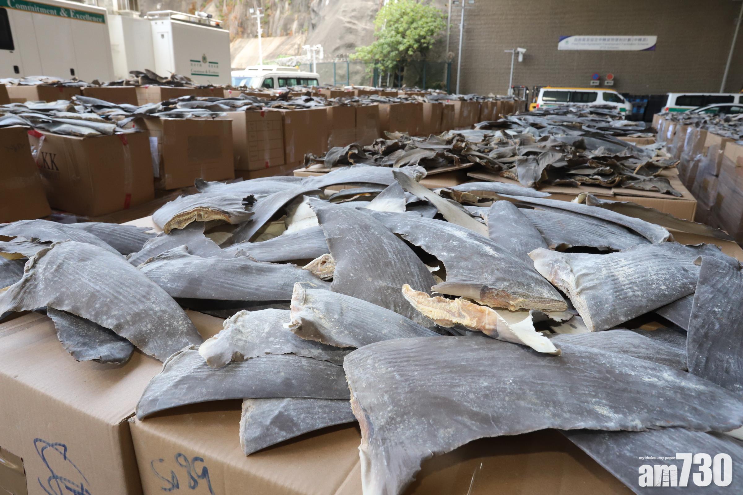 海關檢26噸受管制魚翅　涉近4萬條瀕危鯊魚