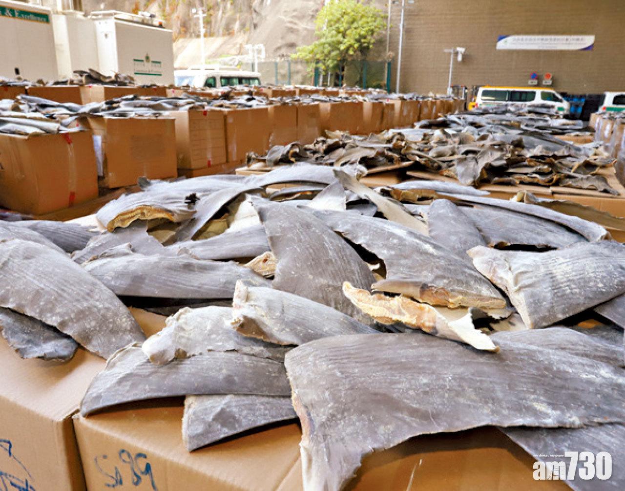 海關一周檢26噸受管制魚翅
