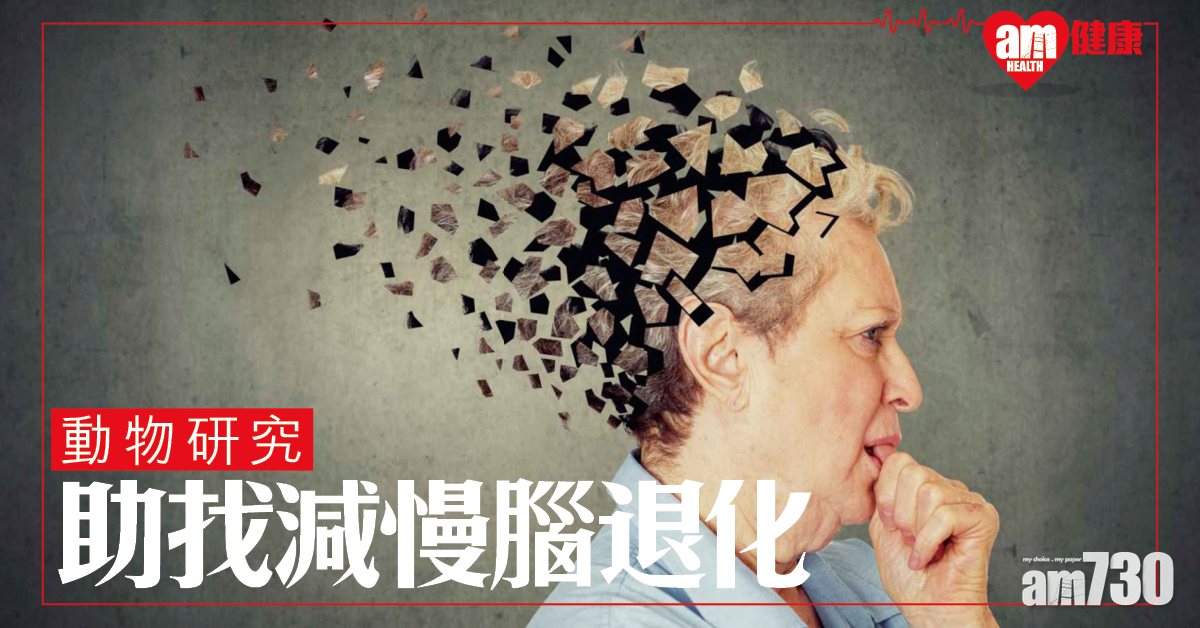 動物研究助找減慢腦退化方法