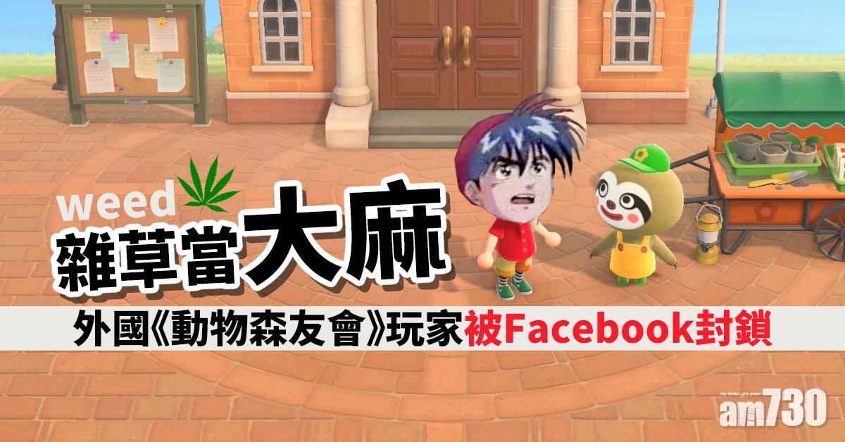 雜草當大麻 外國《動物森友會》玩家被Facebook封鎖