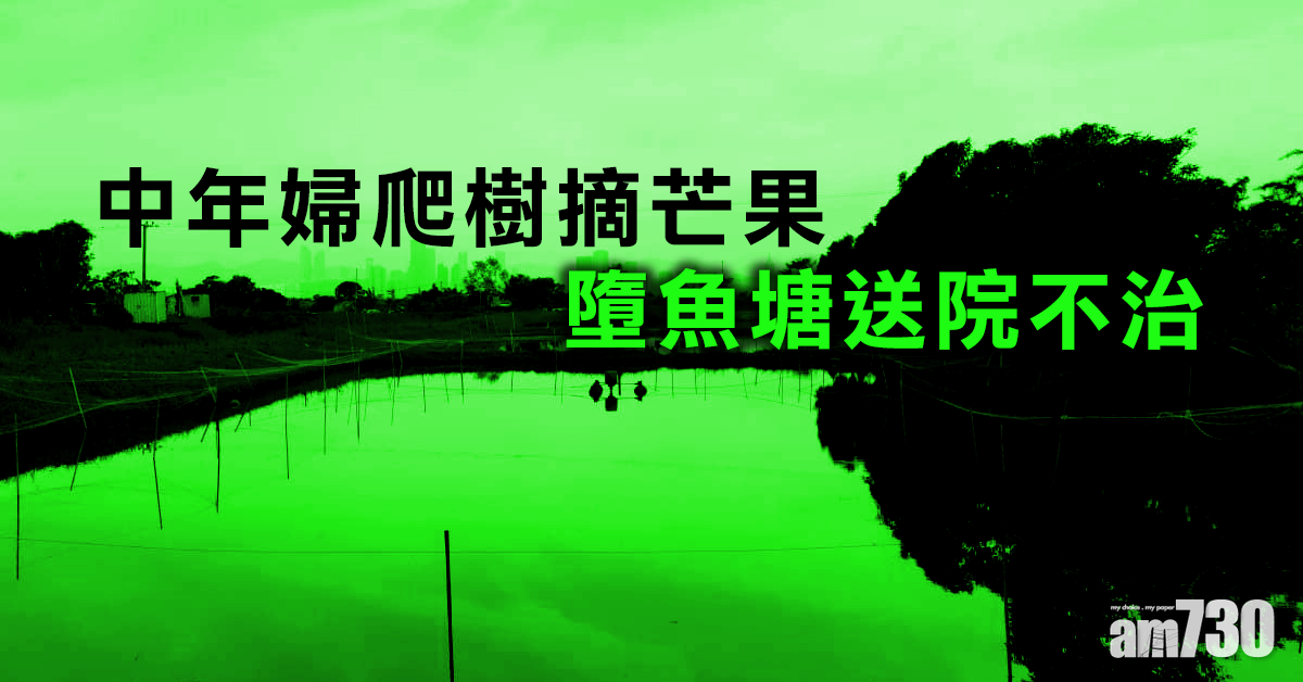 中年婦爬樹摘芒果墮魚塘送院不治