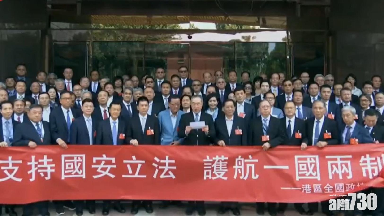 【港版國安法】港區全國人大及政協發表聲明支持立法