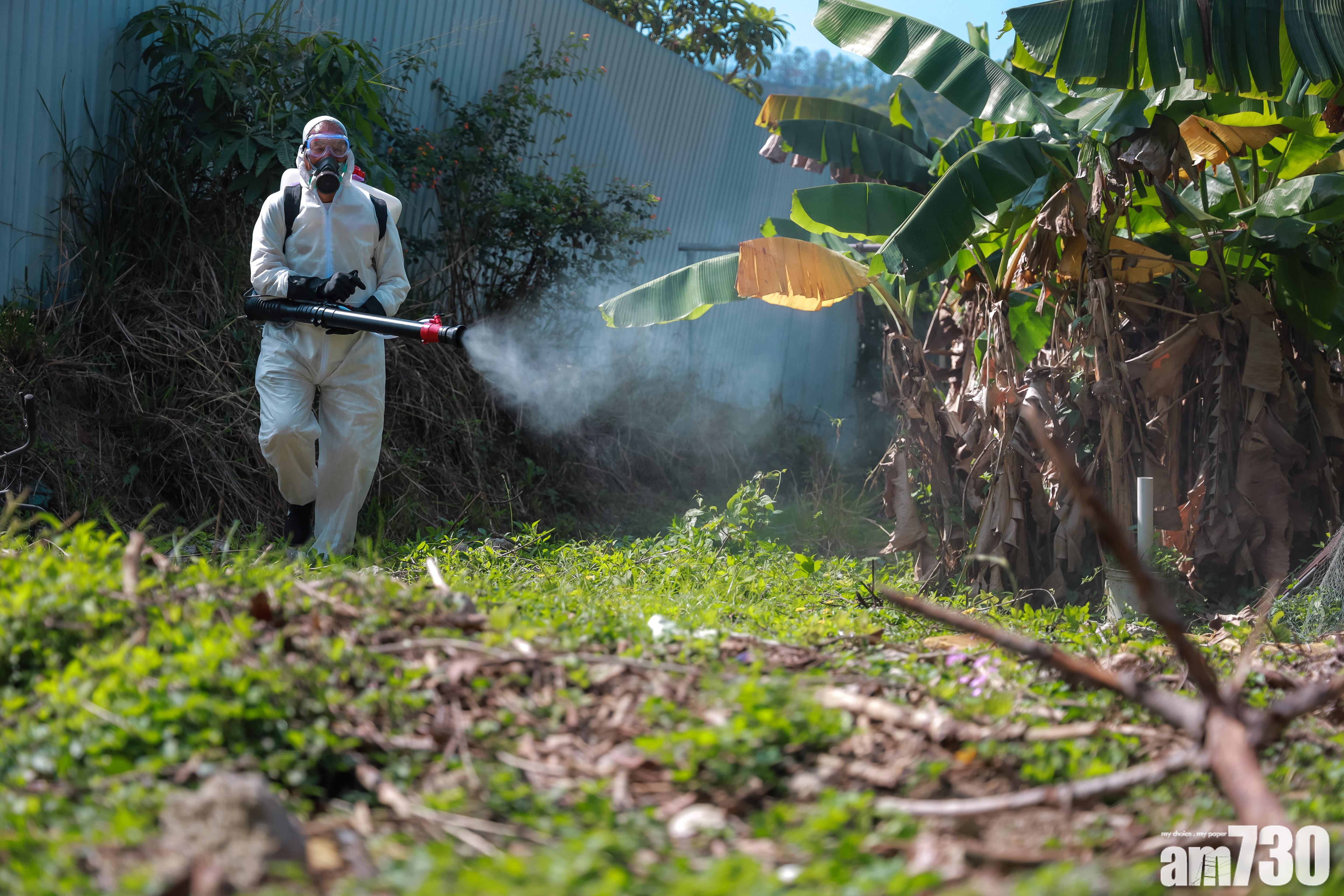 港大研究港常用蚊油 污染海洋危害沿岸生物