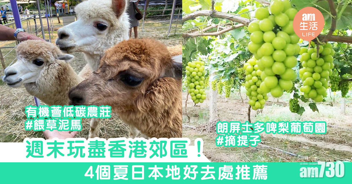 週末玩盡香港郊區！　4個夏日本地好去處推薦