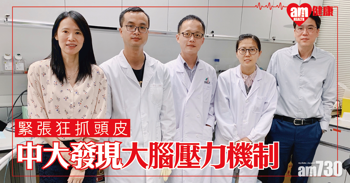 緊張時抓頭皮或磨擦雙手 中大發現引起壓力行為反應的大腦機制