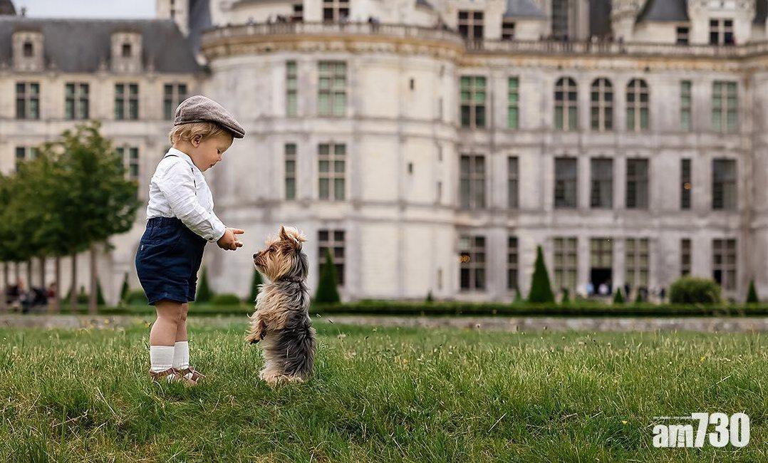 【忠誠朋友】 糖黐豆！ 英國2歲小男孩與狗狗形影不離
