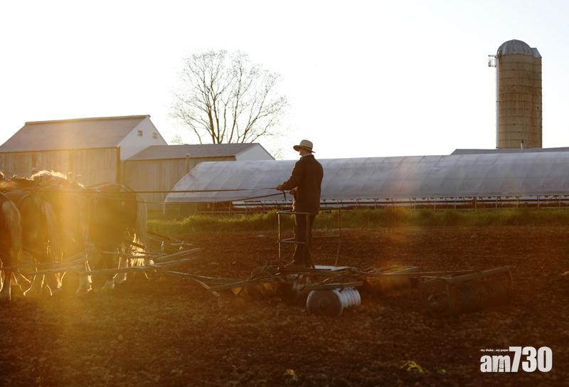 報道指中國因港問題停購部分美國農產品