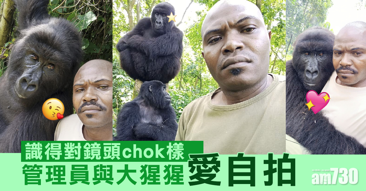 猶如親生仔  國家公園管理員與大猩猩孤兒狂拍「親密照」