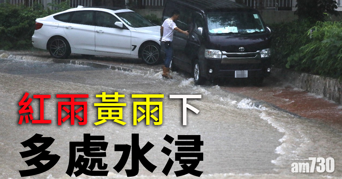 紅雨黃雨下 多處水浸