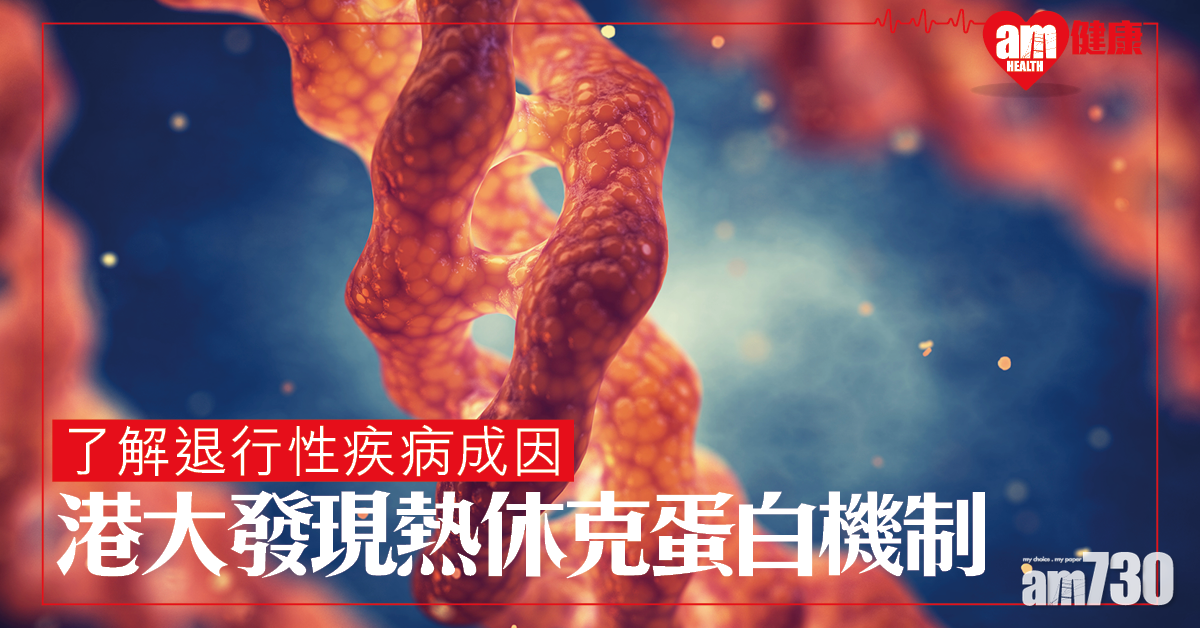 港大發現神經發育中調節蛋白穩態新機制 助找退行性疾病產生成因