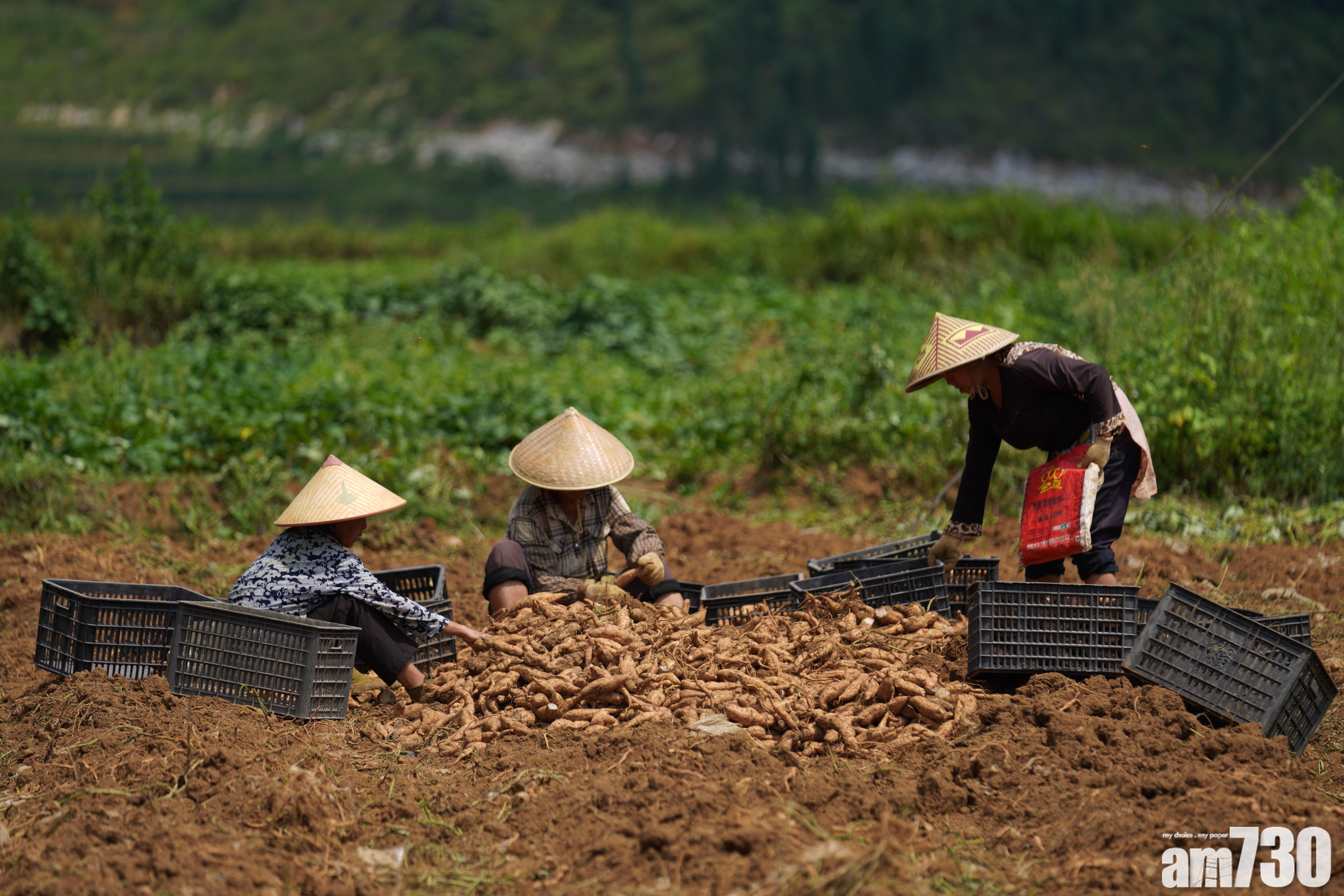 內地6億人月入得1000？國家統計局：有根據