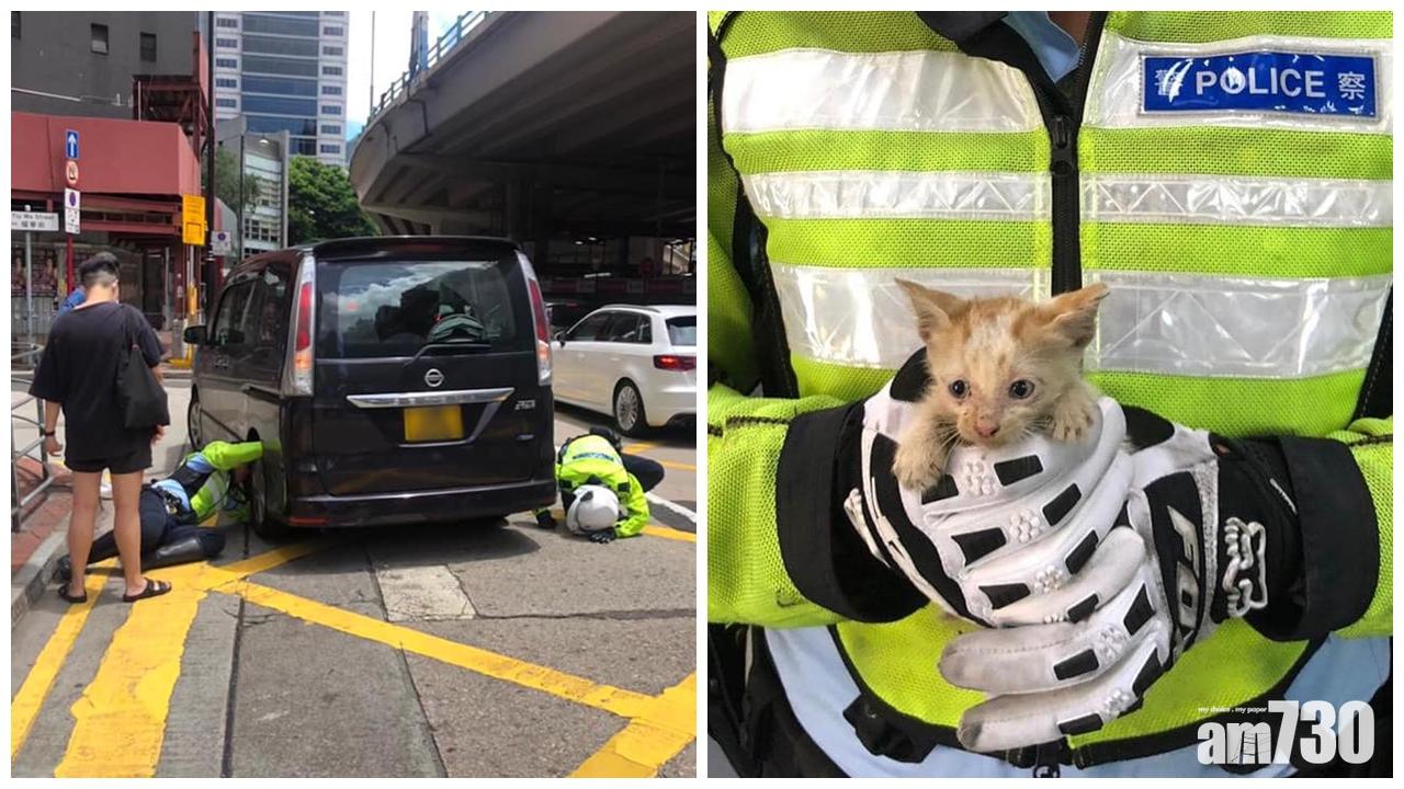 初生小貓藏七人車尾轆 兩交警合力救出