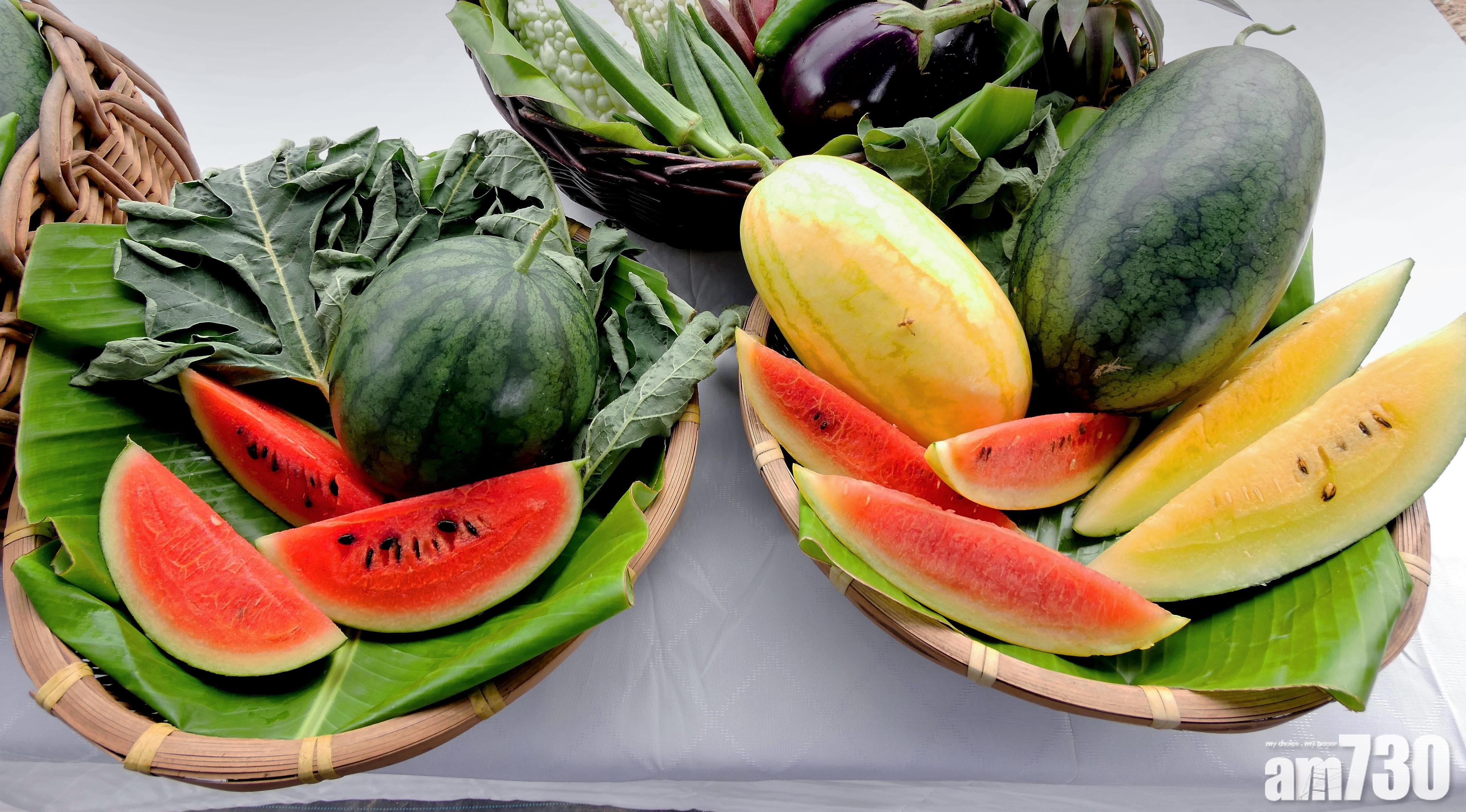 本地有機西瓜節7月舉行 3種特色瓜售價與去年相若 