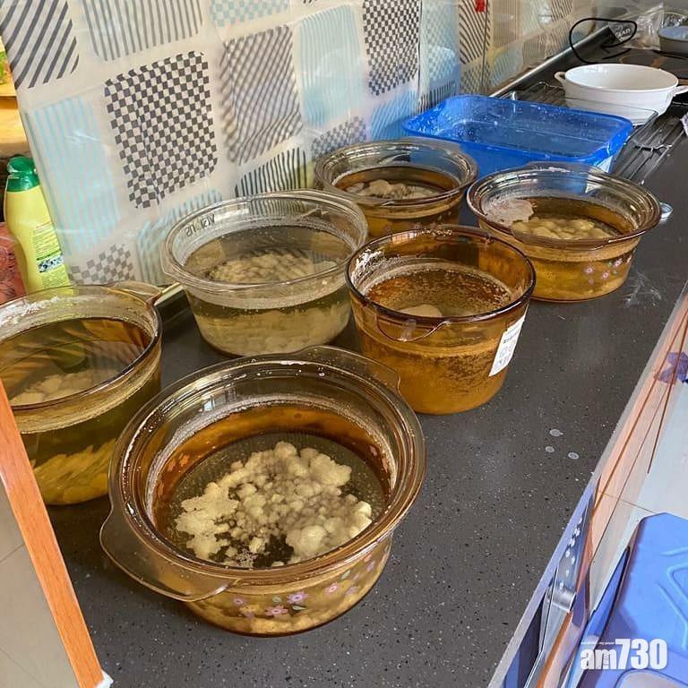 警方破獨立屋製毒工場檢千萬五萬元懷疑氯胺酮拘兩人
