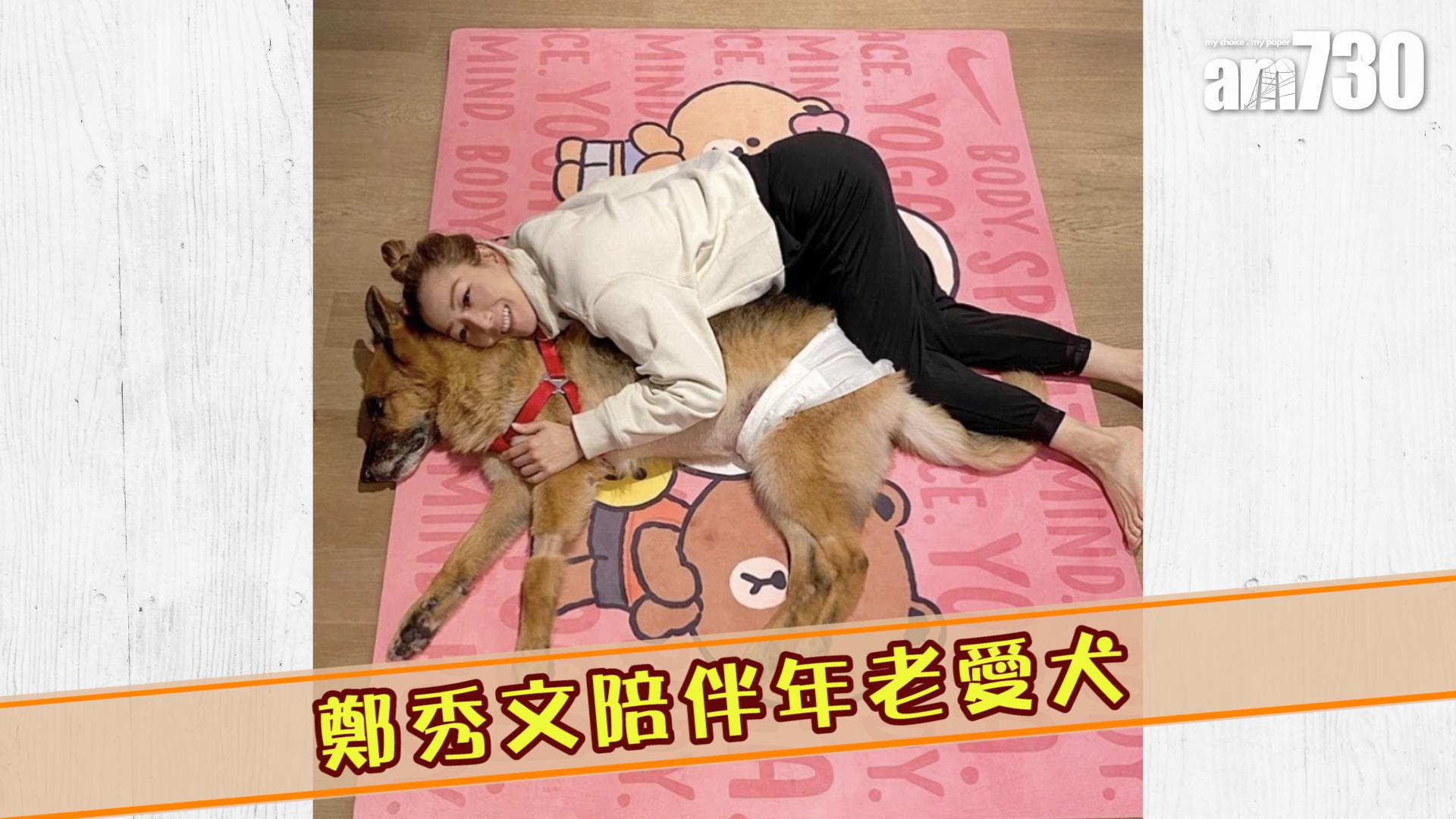 鄭秀文陪伴年老愛犬