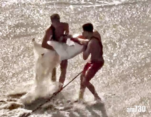 【驚險】岸邊拍婚照  一對新人遭大浪沖落海狼狽獲救 (有片)