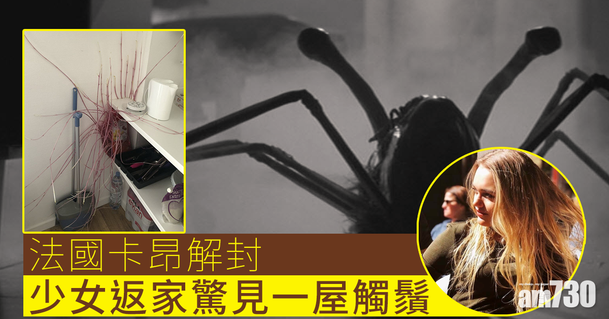 【嚇一嚇】法女解封返家驚見一屋觸鬚 原來係……