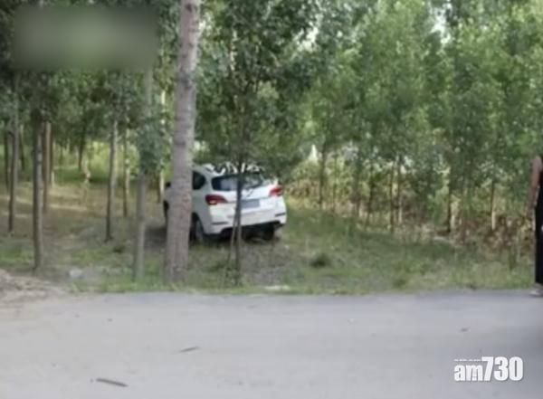 【笨拙姊弟】假撞車呃保險 點知車cam影晒