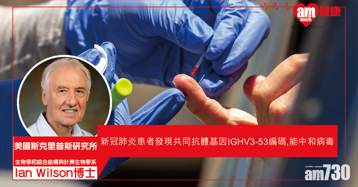 【新冠肺炎】美研：發現患者有共同抗體 具較強中和病毒效果