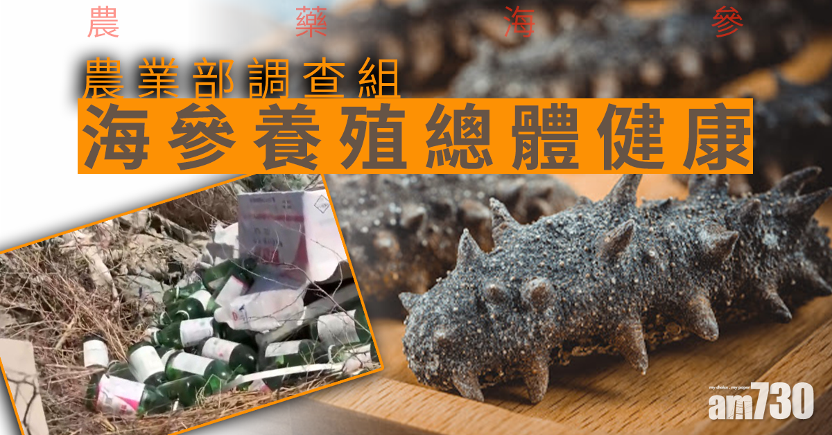 【農藥海參】農業部調查組：海參養殖總體健康