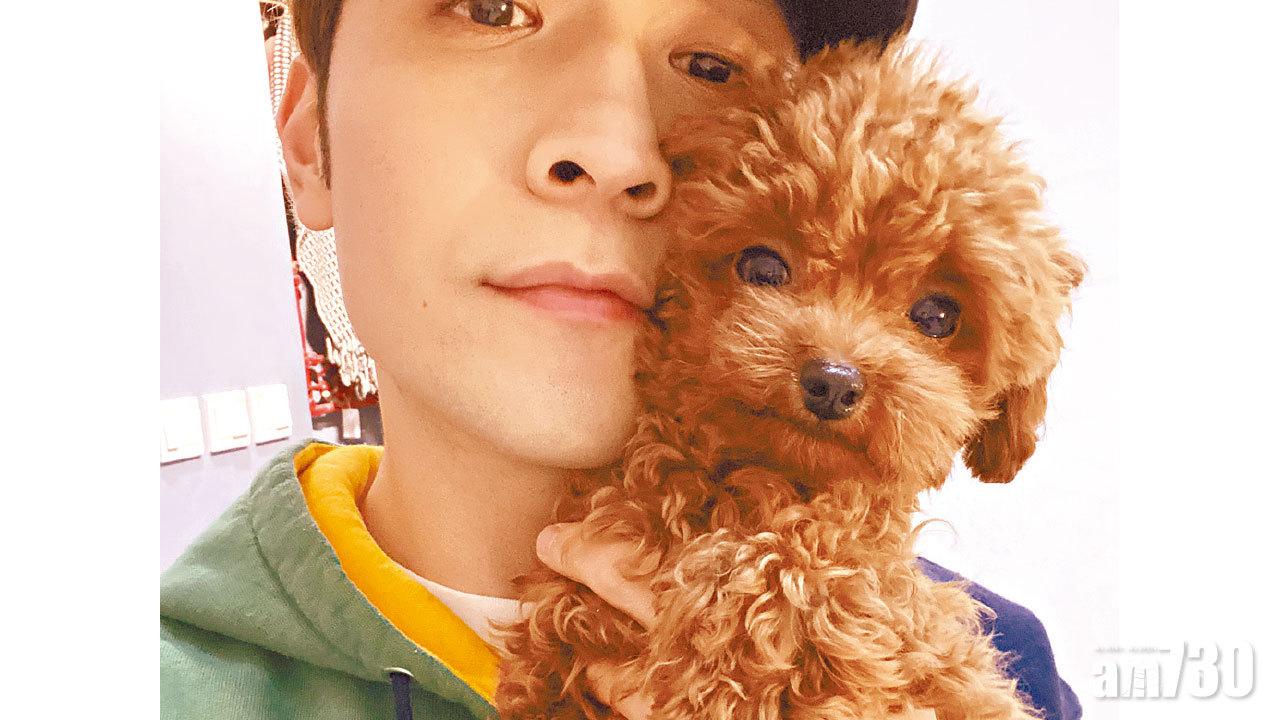 因寂寞而養狗竟成虎爸  狄以達：24小時都要黐實佢