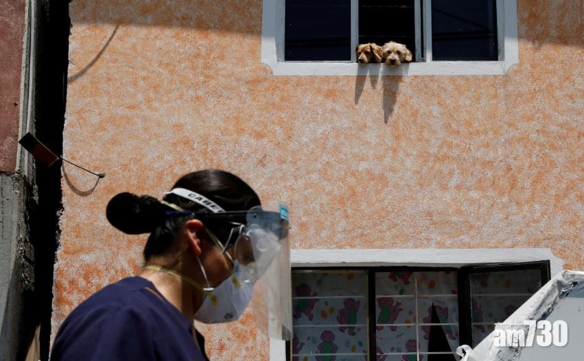 【新冠肺炎】封城令放寬反令狗狗抑鬱？ 獸醫促主人留意幾種跡象