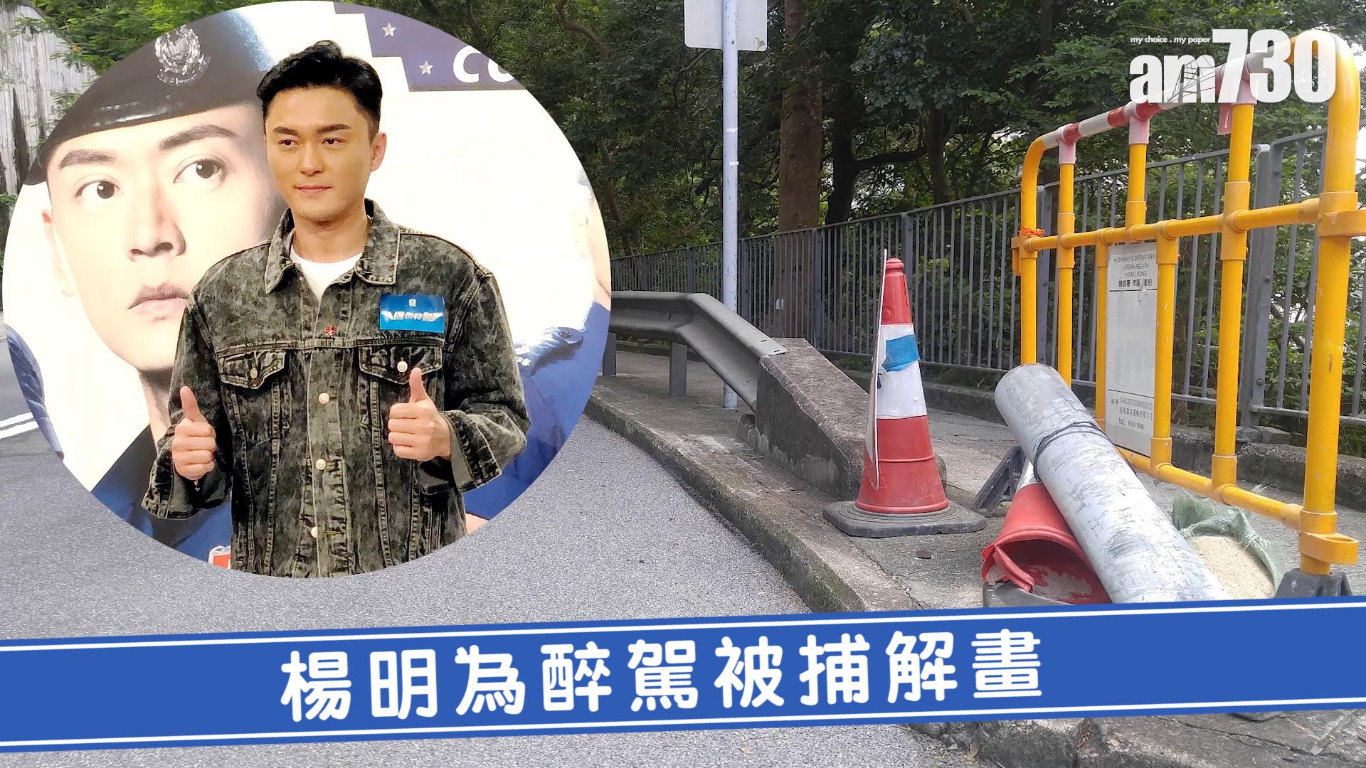 楊明為醉駕被捕解畫