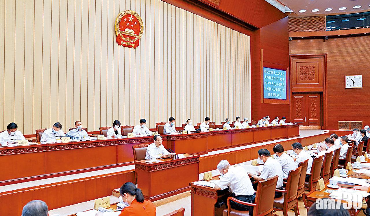 立會真空期安排 人大今拍板 葉國謙：料全體延任1年