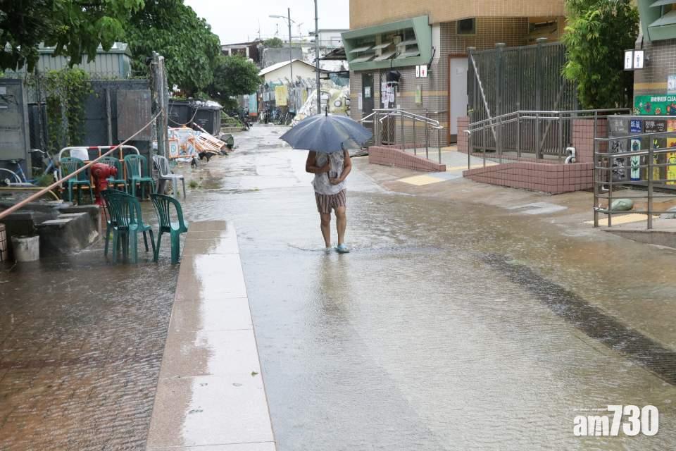 【海高斯襲港】鯉魚門三家村部分地方水浸塌樹