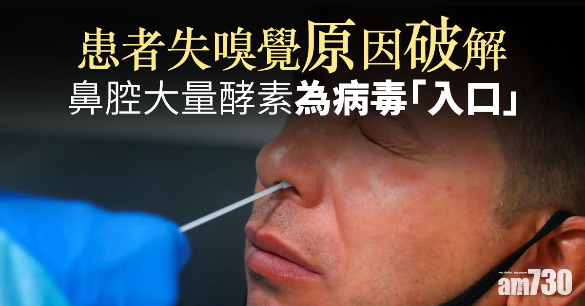 【新冠肺炎】患者失嗅覺原因破解　鼻腔大量酵素為病毒「入口」