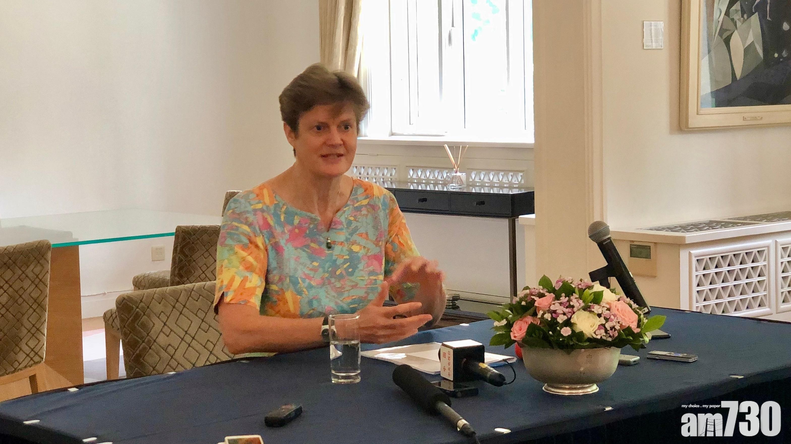 英駐華大使：英方認為「港獨」非解決港問題選項