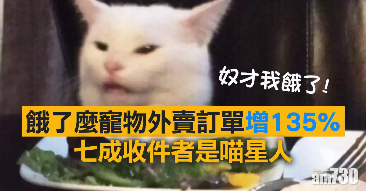 餓了麼寵物外賣訂單增135% 七成收件者是喵星人