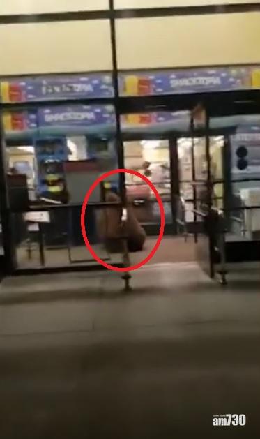 【另類顧客】加州棕熊逛超市 叼走零食即開餐(有片)