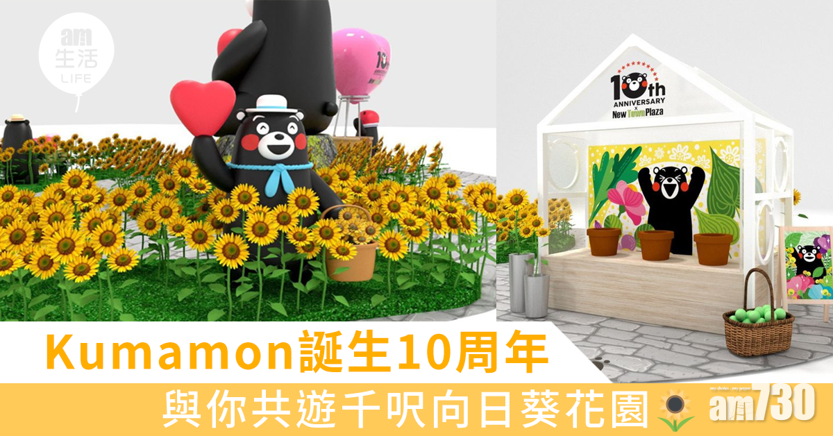 Kumamon誕生10周年  相約新城市廣場共賞向日葵