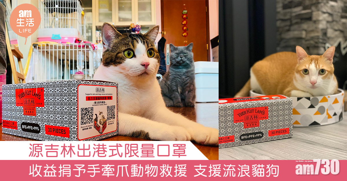源吉林出港式限量口罩 收益捐予手牽爪動物救援 支援流浪貓狗