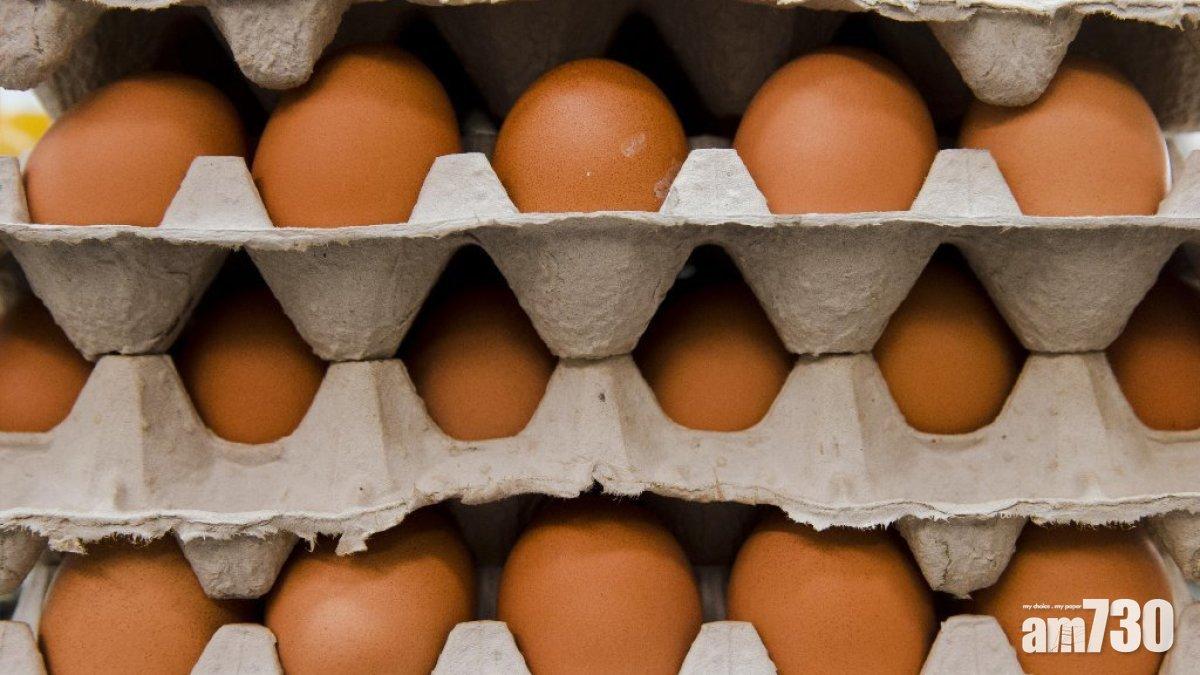 本港暫停進口俄羅斯鄂木斯克禽肉及禽類產品