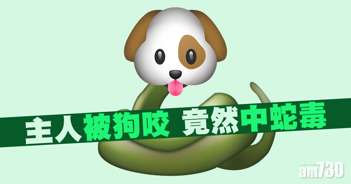 主人被狗咬 竟然中蛇毒
