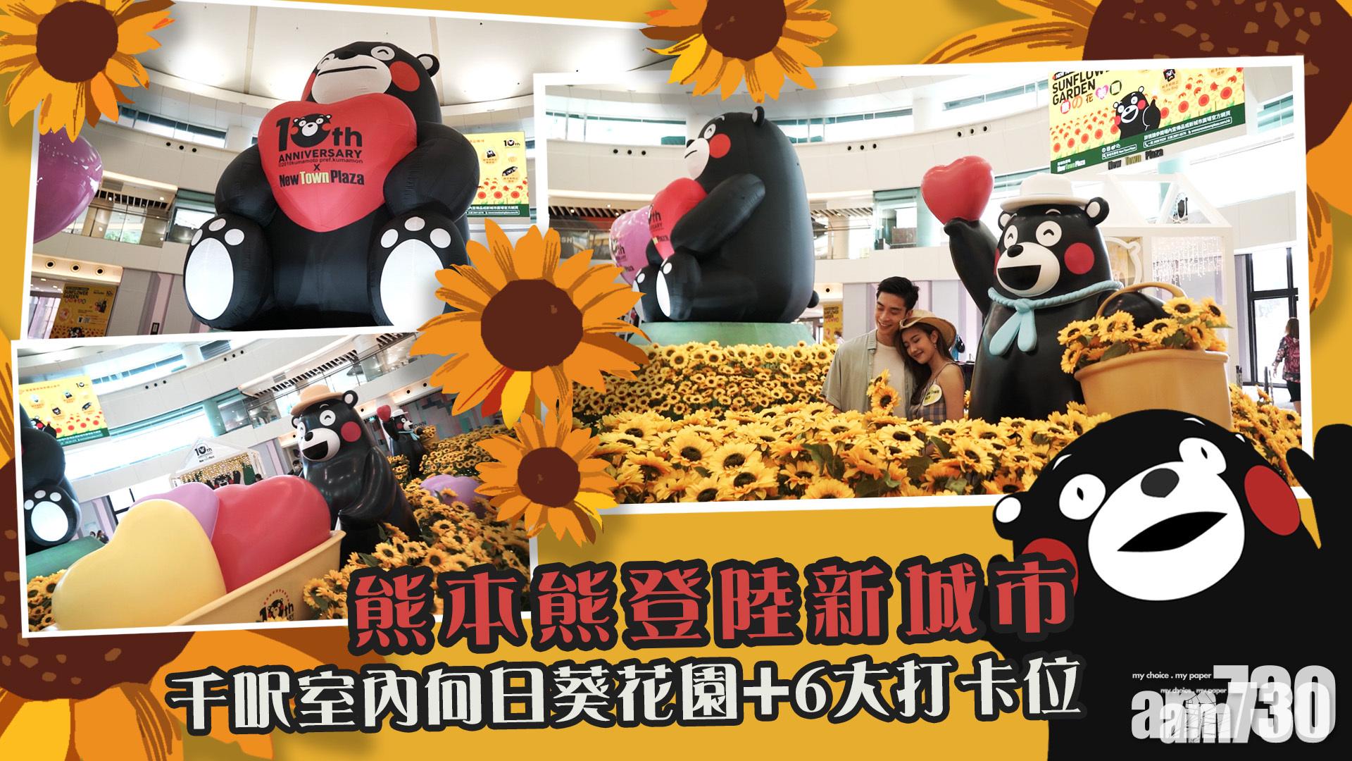 熊本熊登陸新城市 千呎室內向日葵花園+6大打卡位