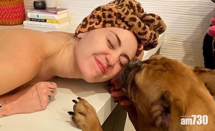 【名模狗狗】Miley老虎狗叫Kate Moss