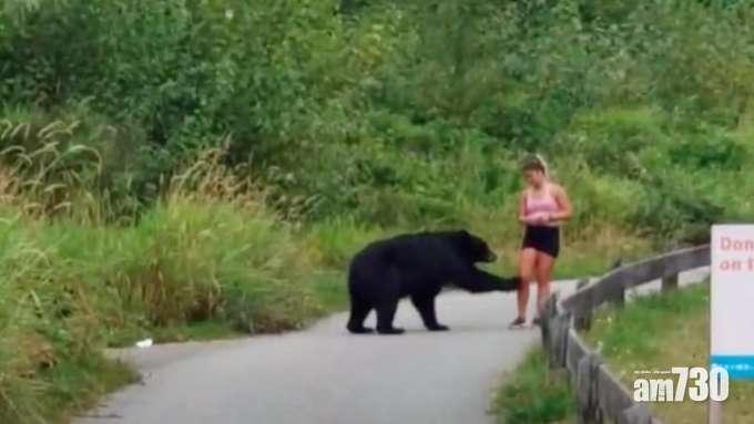 【想點？】加國黑熊走近緩跑女 掂一掂腳又閃開(有片) 